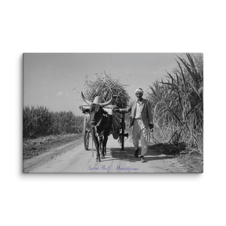 Saret Bef - Mauritius product image (4)