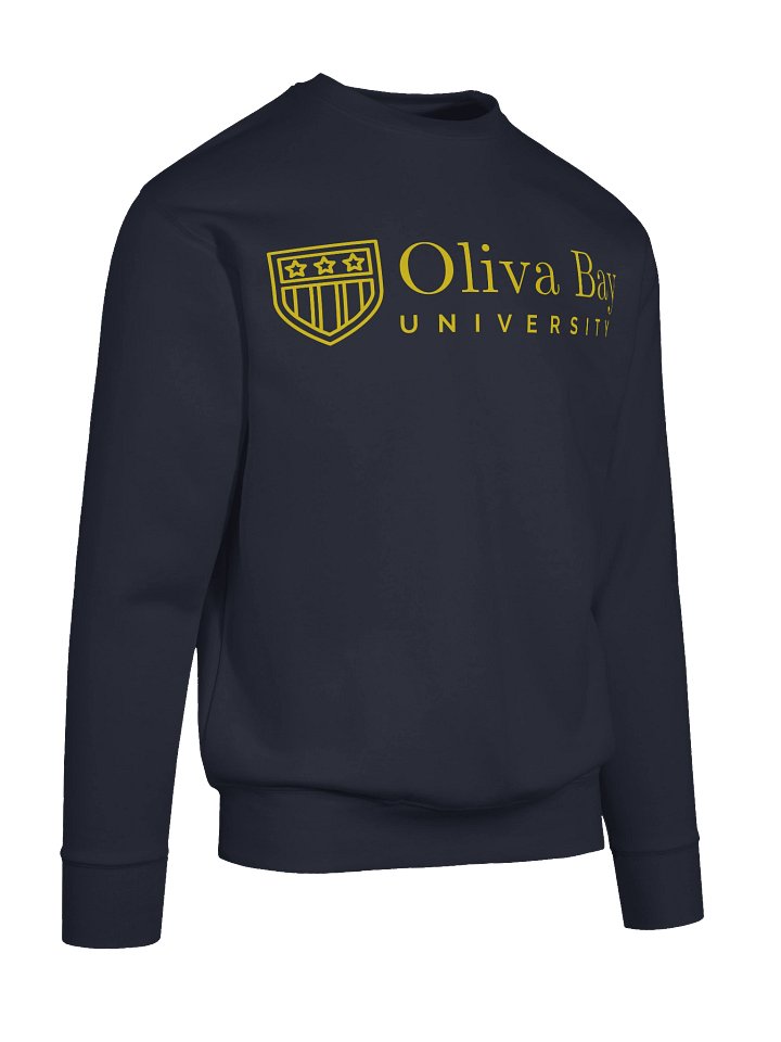 OBU Sweatshirt product image (2)