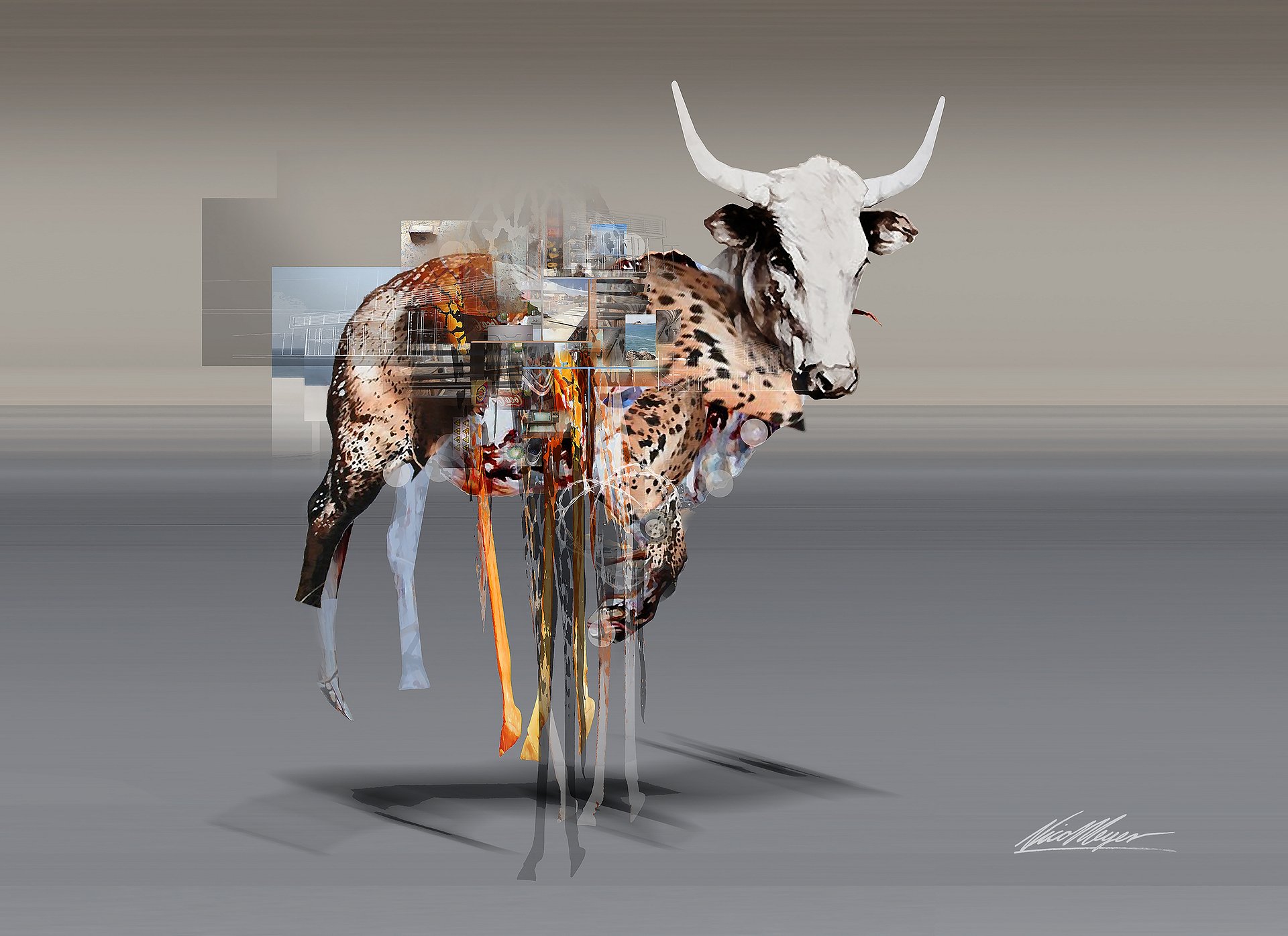 The Patriarch: Nguni Fine Art Canvas Print | 1:1.33 Ratio product image (6)