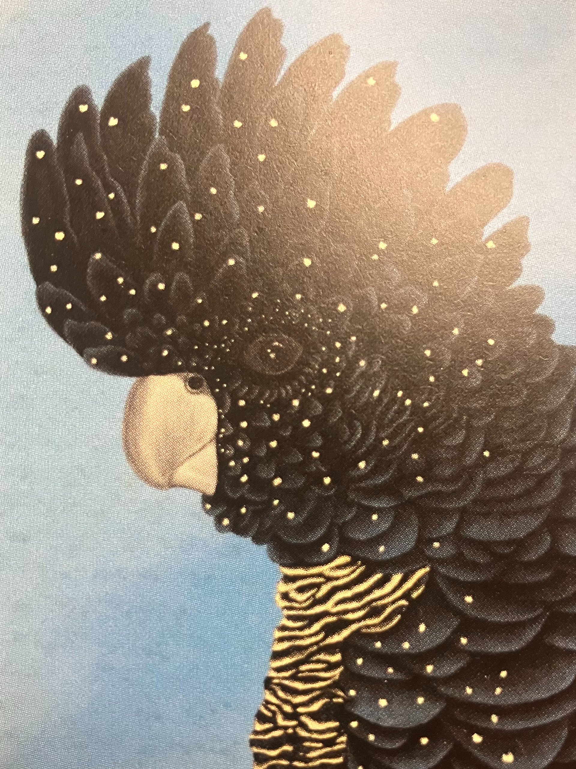Red Tailed Black Cockatoo Art Print product image (3)