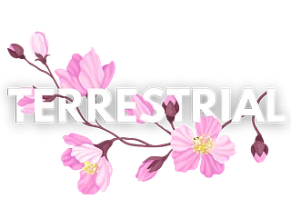 Terrestrial