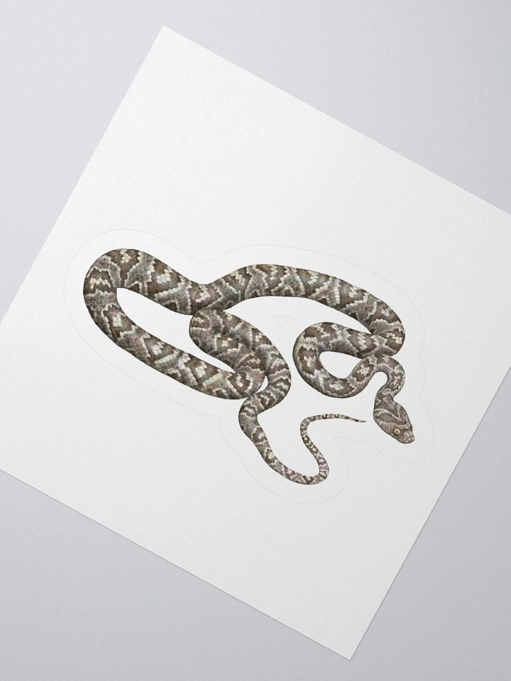 Die-Cut Sticker – Sonoran Lyresnake product image (2)