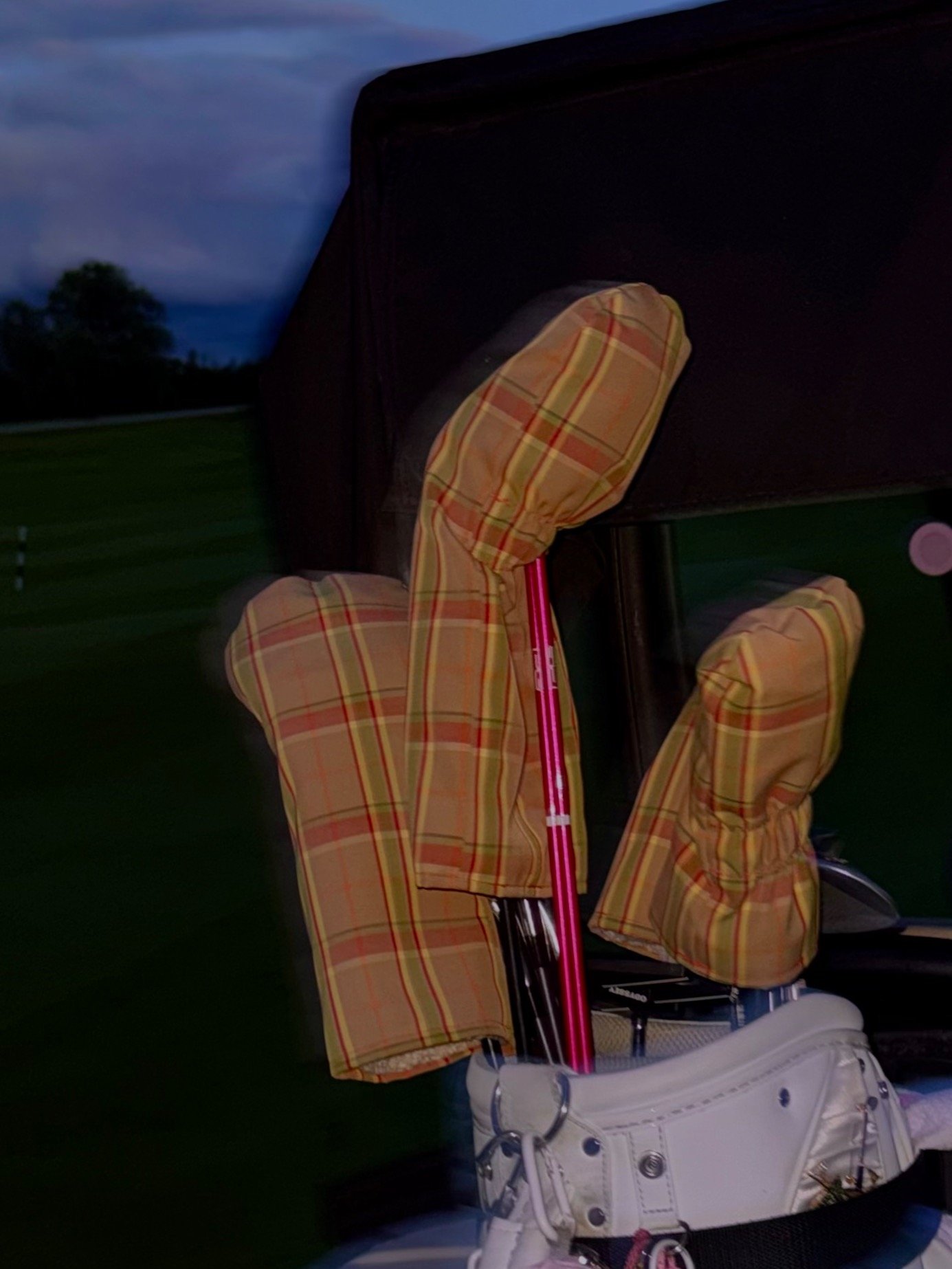 Winnie Driver Cover product image (1)