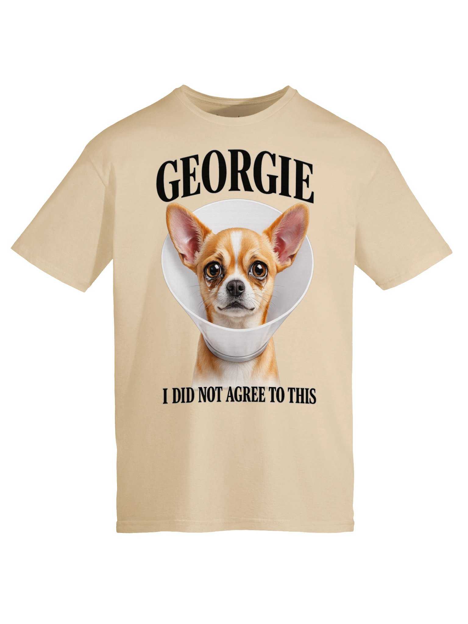 Georgie™ – "I Did Not Agree to This" Vet Visit Tee product image (20)