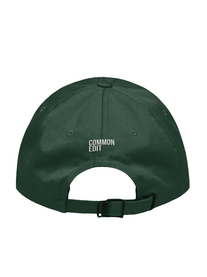 Common Edit (Embroidered logo hat) product image (18)