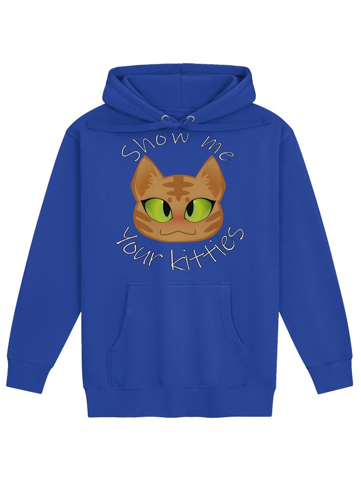 Show Me Kitties! Graphic Hoodie product image (25)