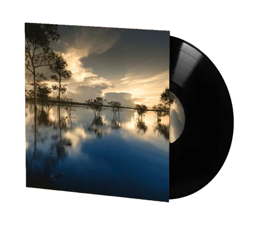 The Swamp 12" Vinyl product image (1)