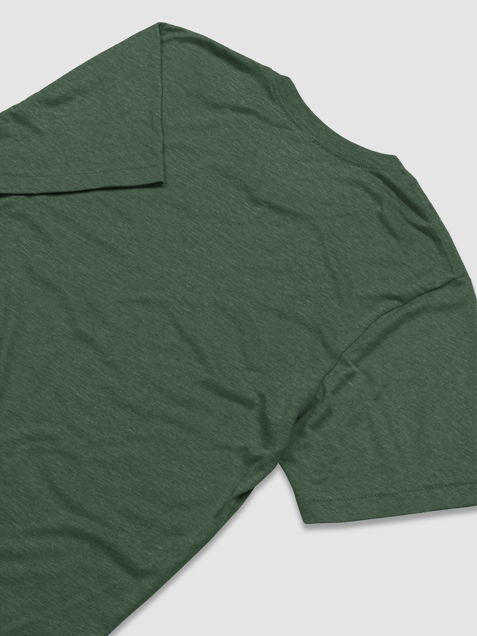 Sunlit Tree Triblend Tee product image (8)