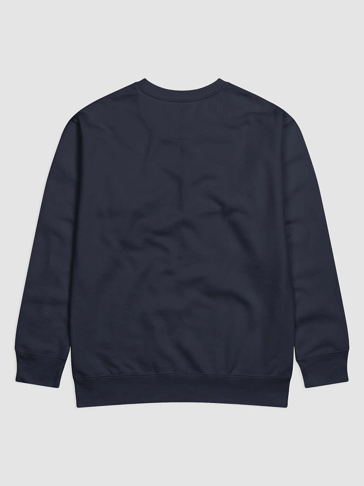 The AU Sweatshirt (Silver) product image (2)