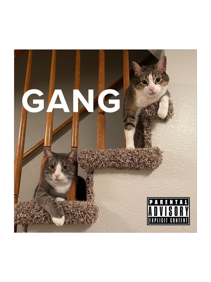 chill bro my cat is on this app product image (1)