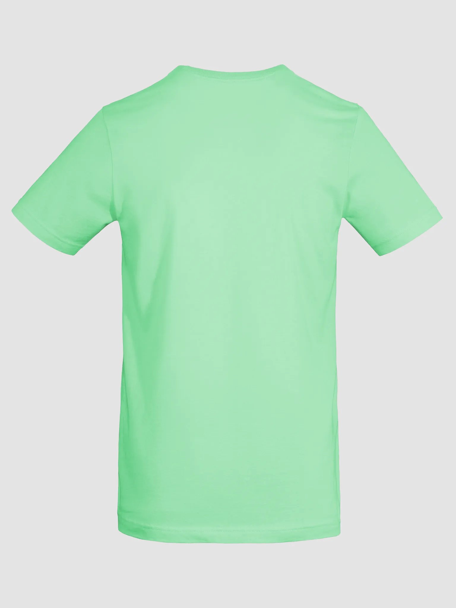 Bella Supersoft T-Shirt product image (86)