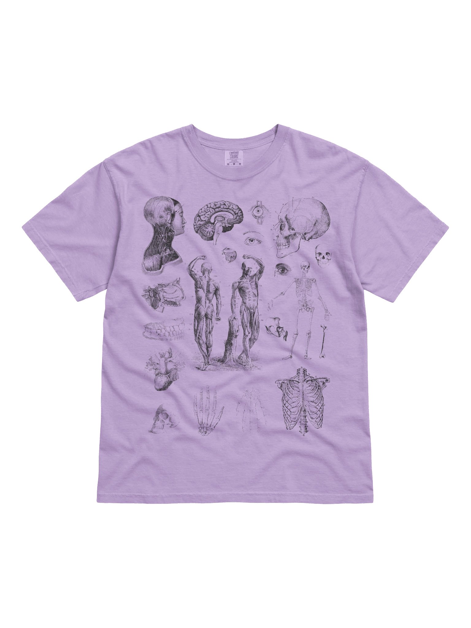 Dark Academia Anatomy Shirt – Vintage Human Anatomy Sketch Graphic Tee product image (31)
