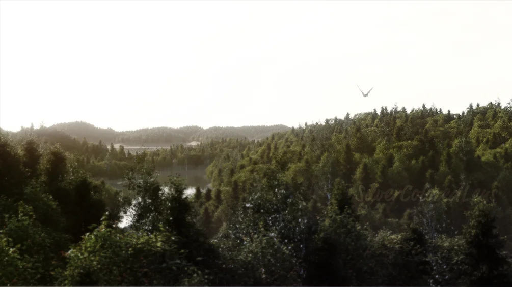 Realistic Aerial Forest Scene product image (1)
