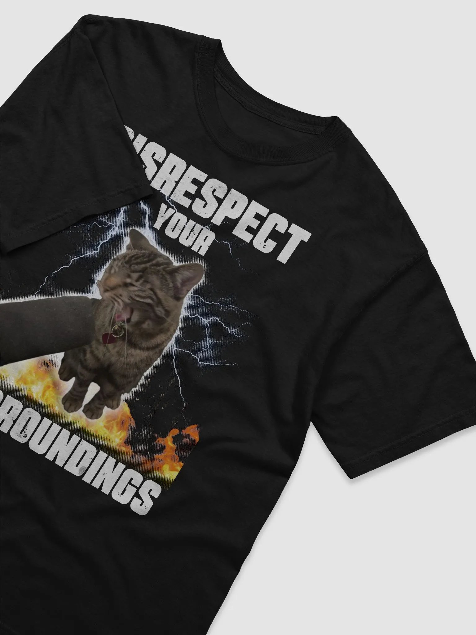 Laina's Disrespect Tee product image (3)