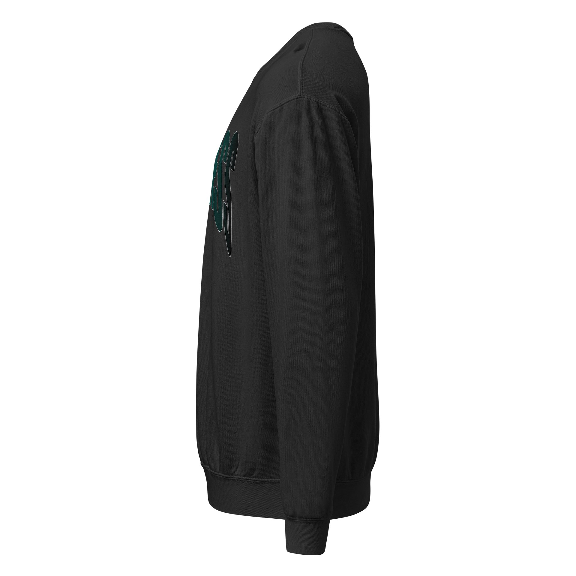 FORTRESS "AQUA" ESSENTIALS CREW SWEATSHIRT product image (4)