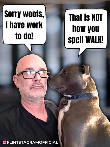 When you’re doing your best to do your music and stream prep, but he just ain’t having it... #dogsofinstagram #staffiesofinst...