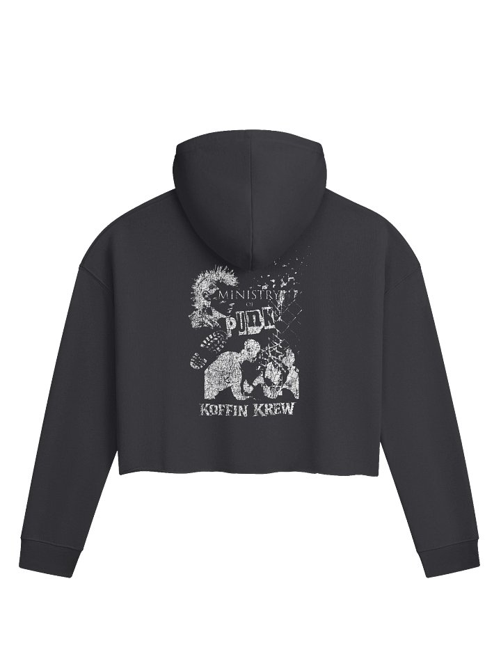 Punk Rotten Womens Cropped Hoodie product image (2)