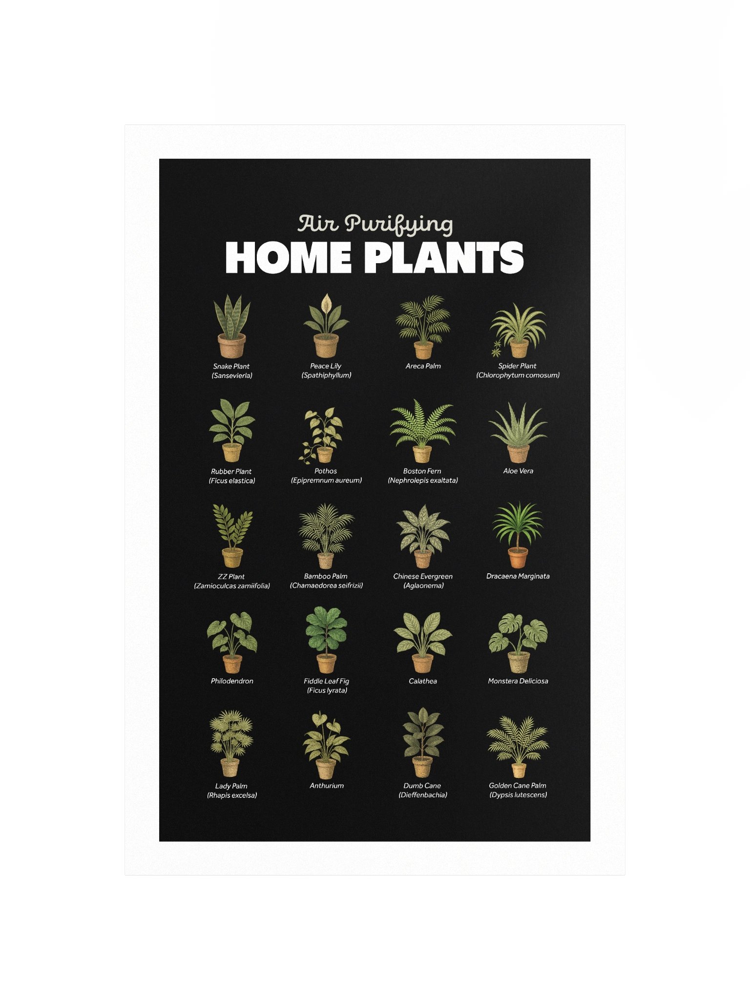 Air Purifying Home Plants Poster product image (2)