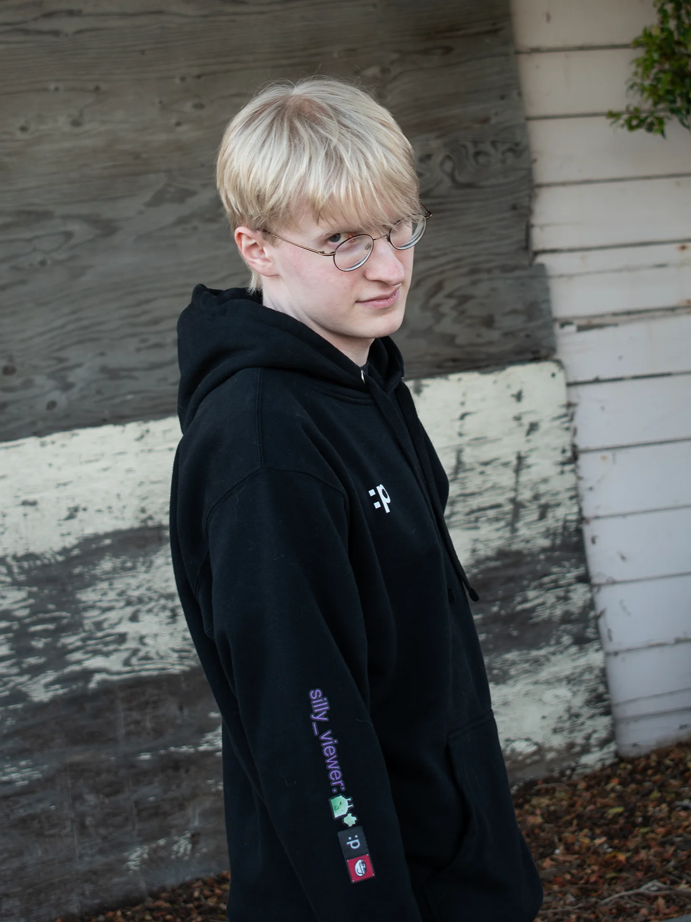 The Silly Hoodie product image (1)