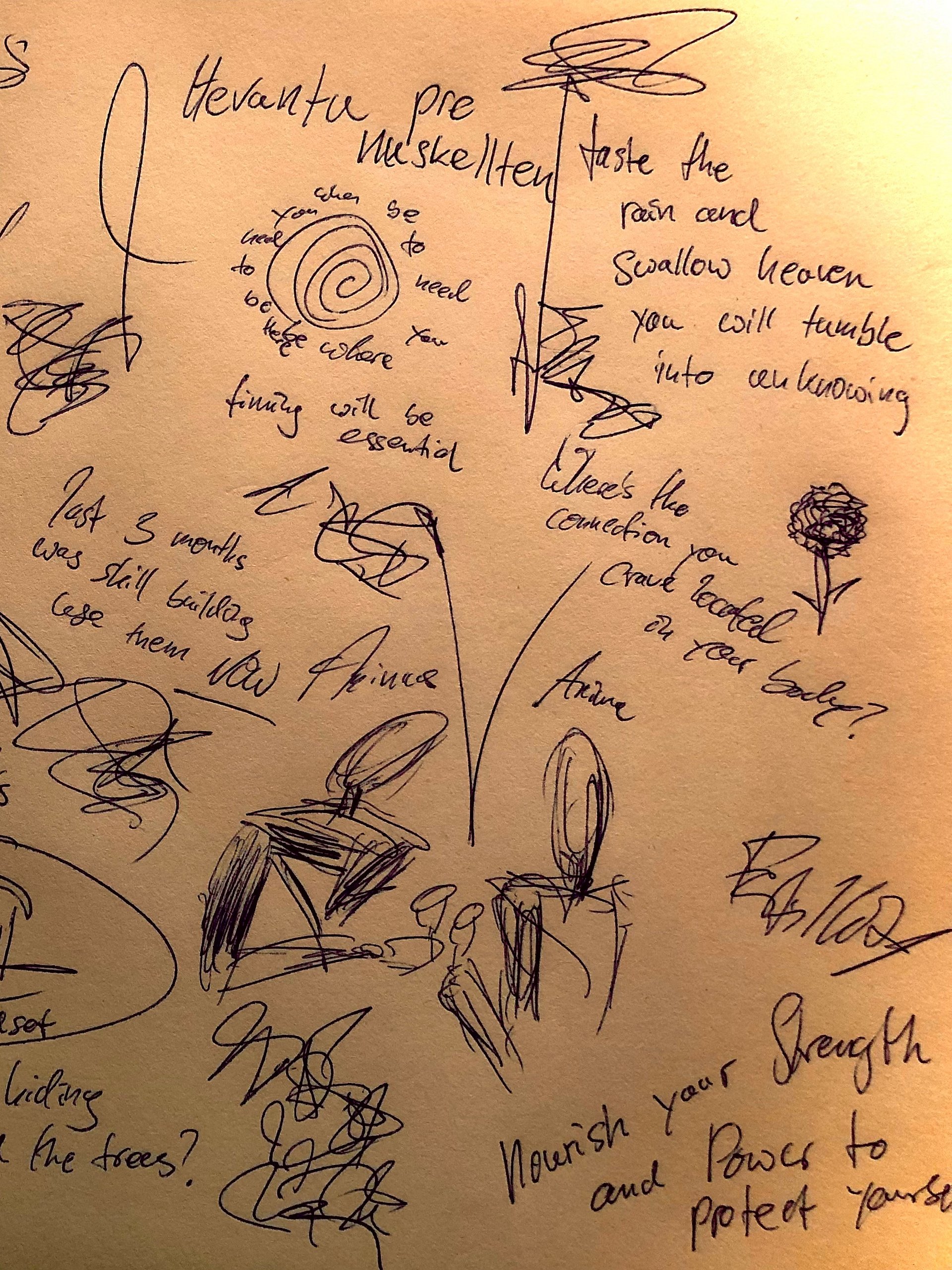 Carl G. Jung Spirit Channeling (Personal Audio Message Automatic Writing) product image (3)