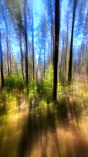 Accidentally made another psychedelic dream filter by trying to clean tape residue off my phone camera lense with a tissue ✨