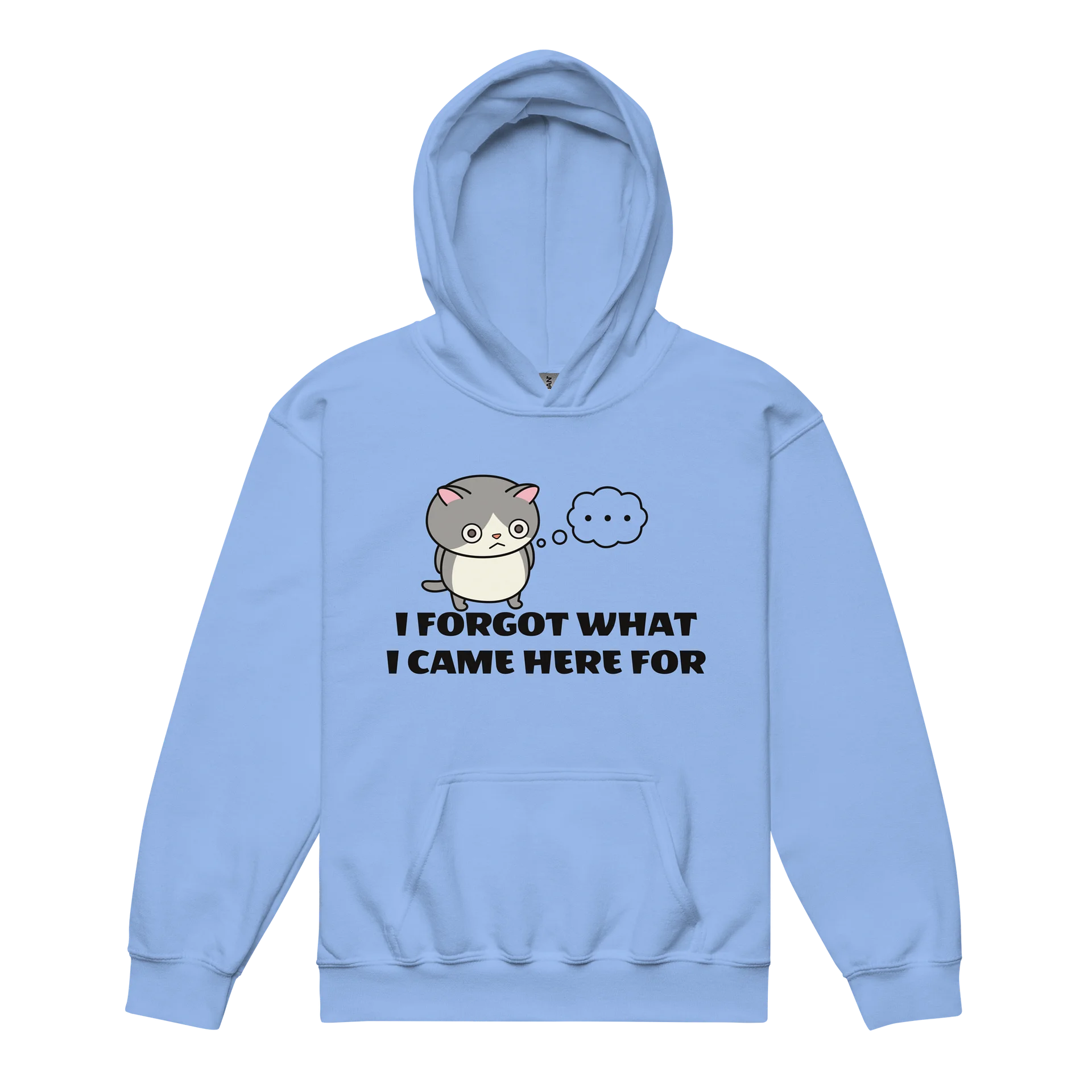 Short-term Memory Loss - Unisex Youth Hoodie product image (1)