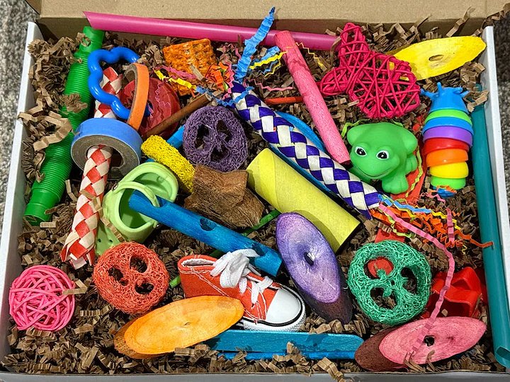 Rainbow Beaks Foraging Box product image (2)