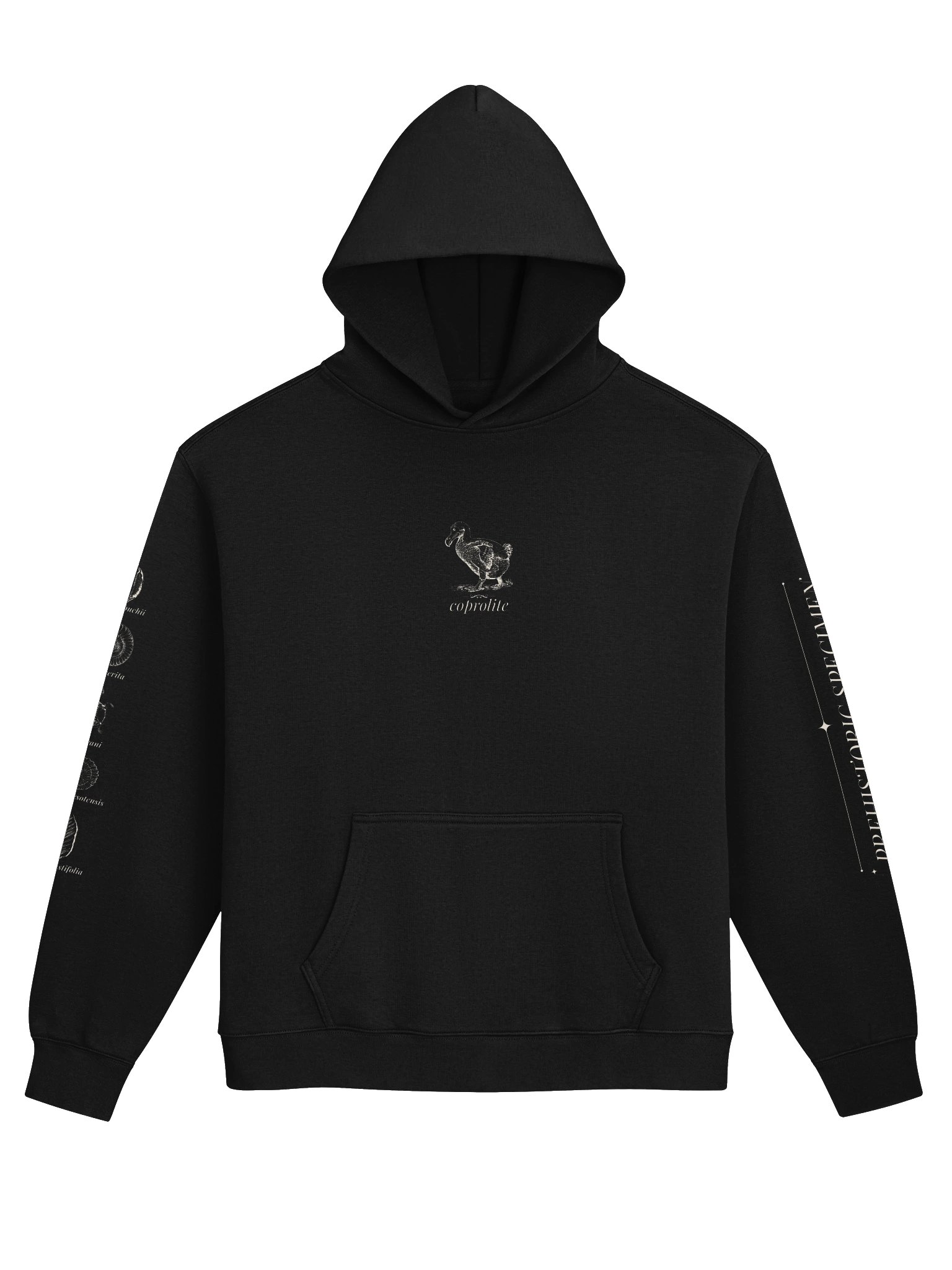Coprolite Relaxed Hoodie product image (1)