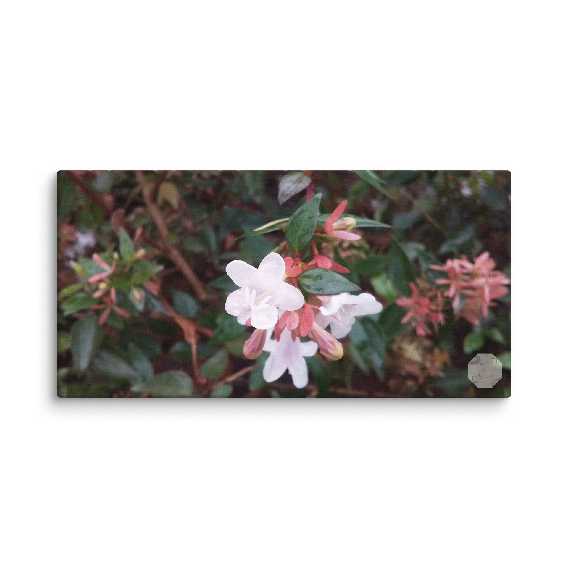 Mini - Canvas Fine Art product image (2)