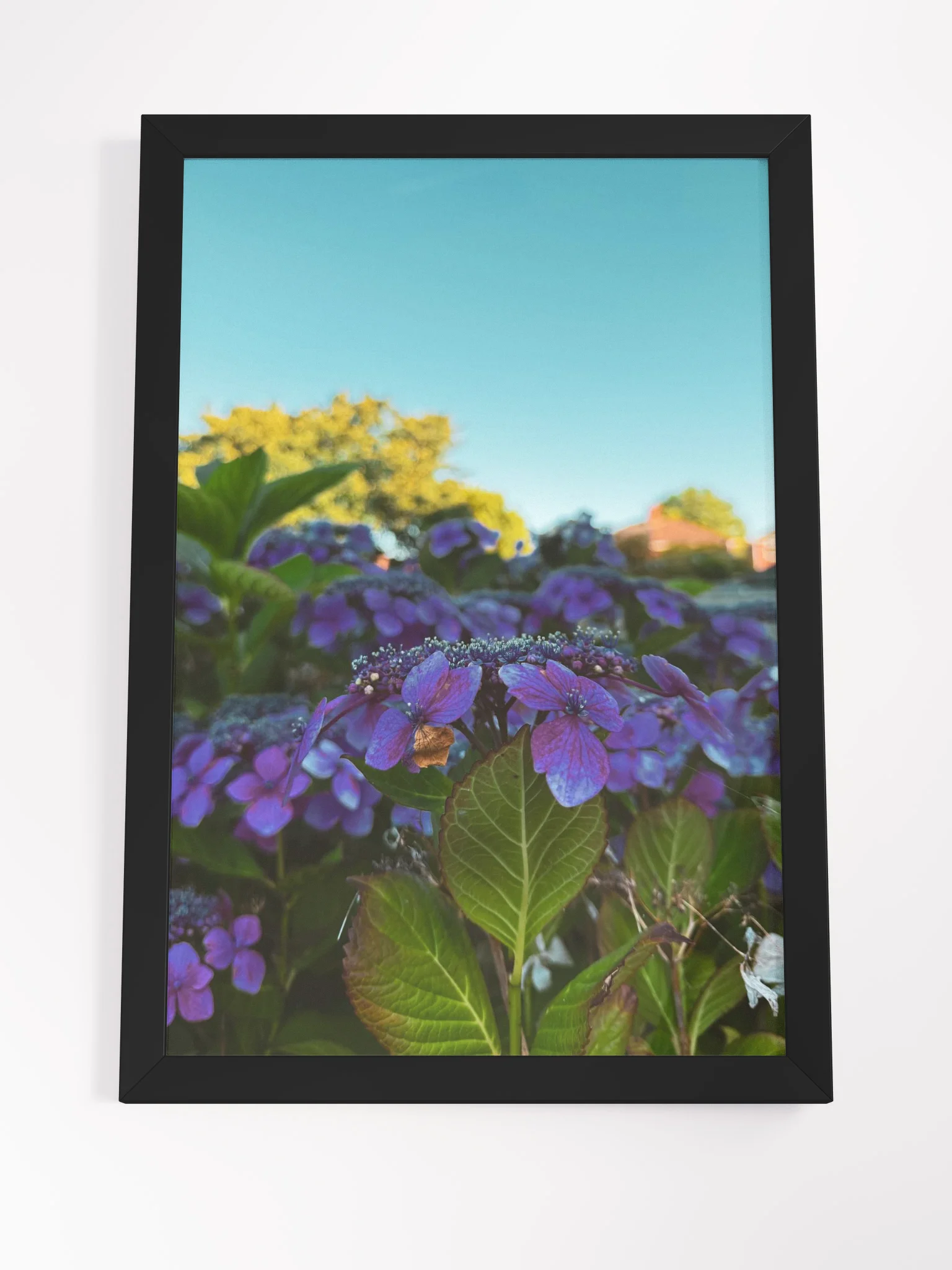 Vibrant Serenity product image (4)