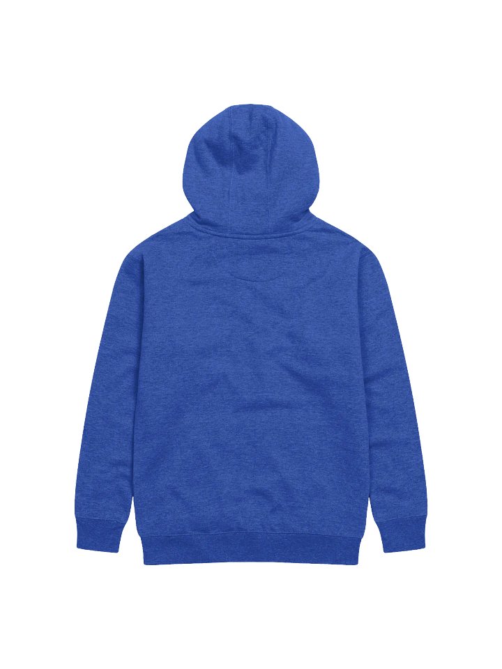 Black-Backed Gulls unisex hoodie product image (11)