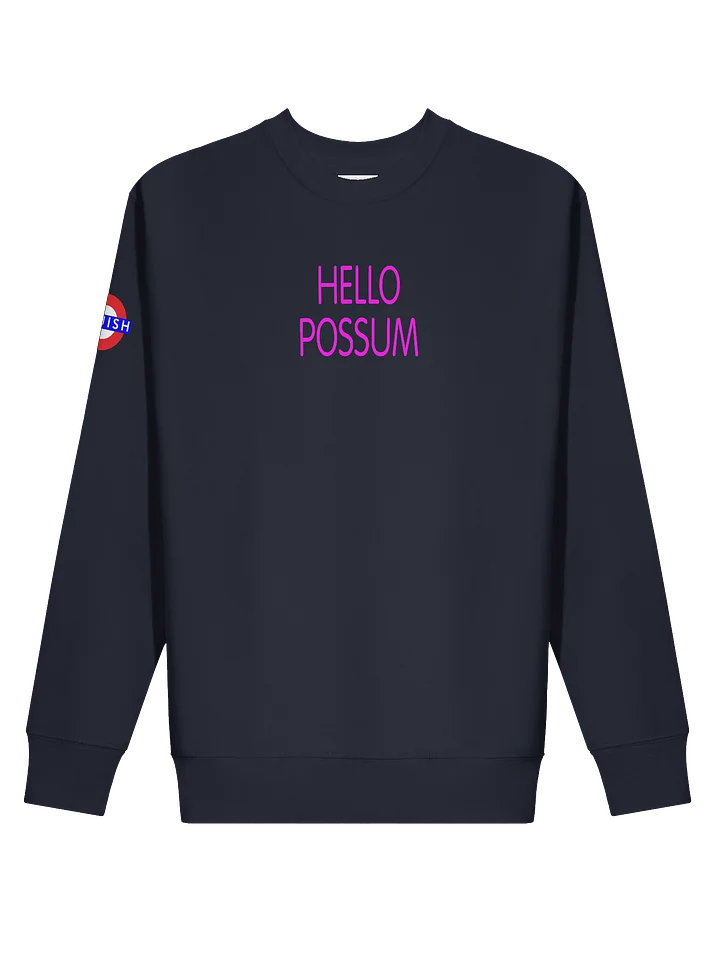 Hello Possum Graphic Crewneck - Hot Pink product image (1)