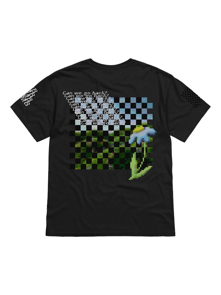Can we go back? product image (10)