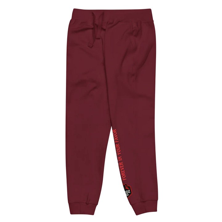 Nerdz DnD Unisex Joggers product image (14)
