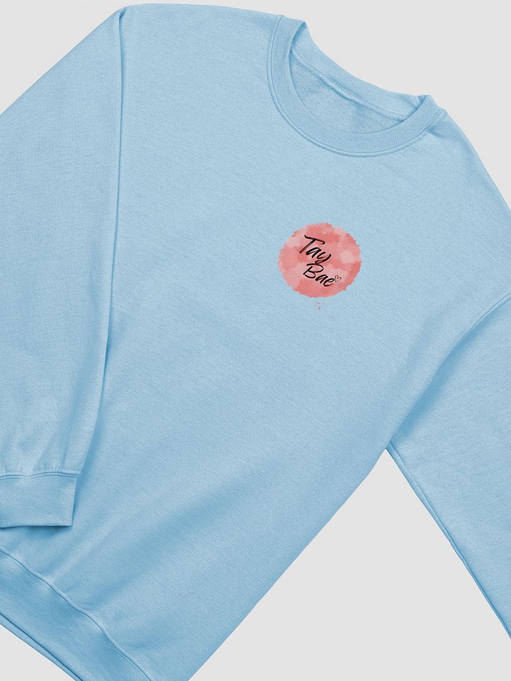 Tay Bae Watercolor Circle Crewneck product image (2)