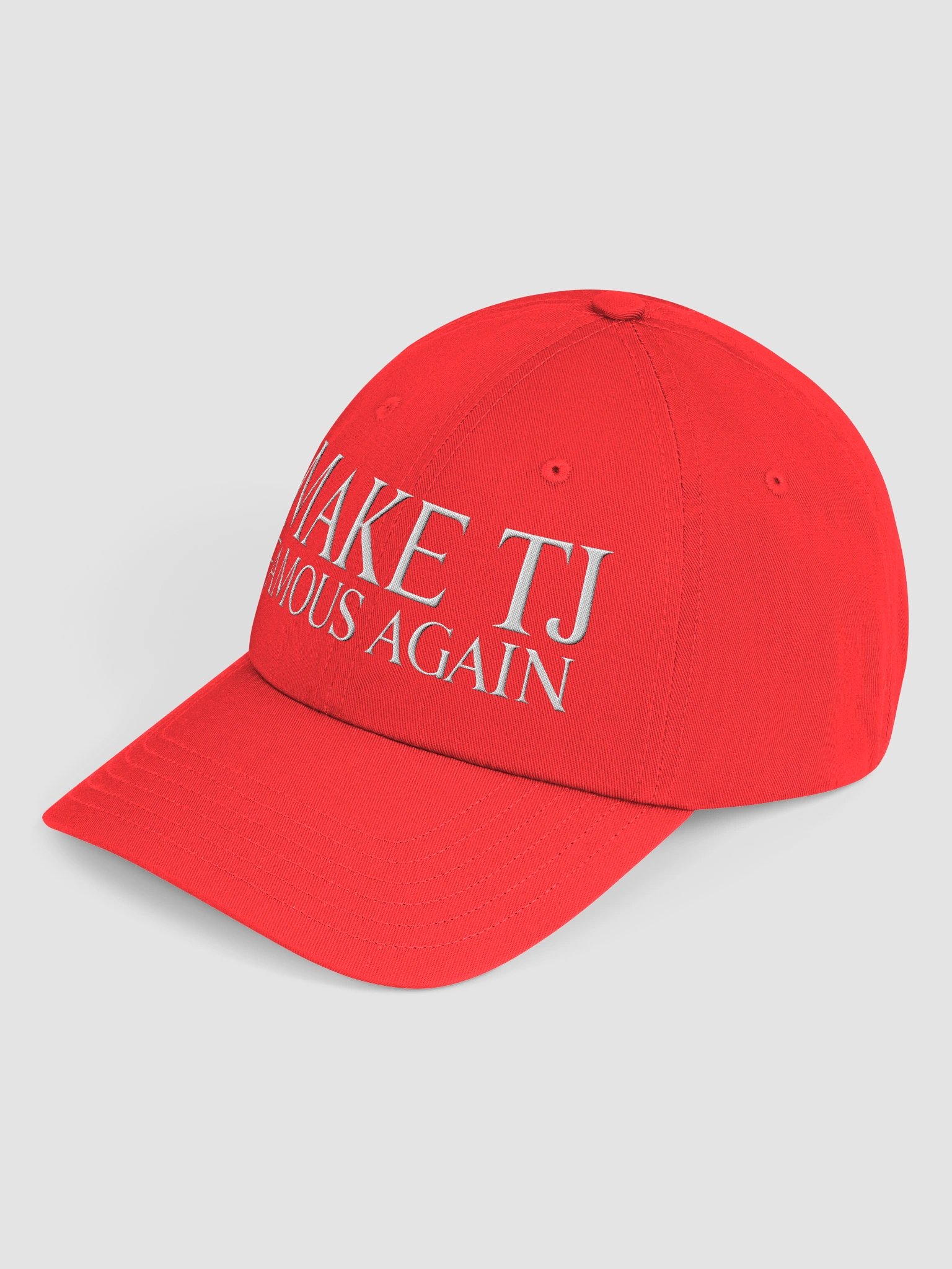TJ Famous Again Hat product image (3)