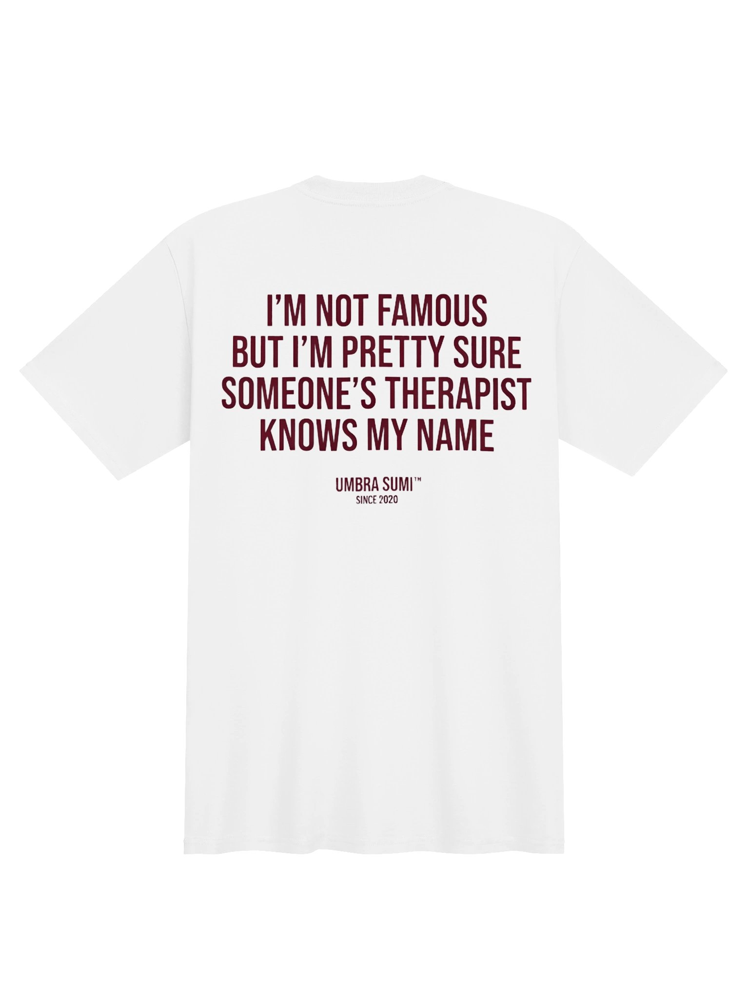 I'm Not Famous Someone's Therapist Knows My Name Funny T-Shirt product image (1)
