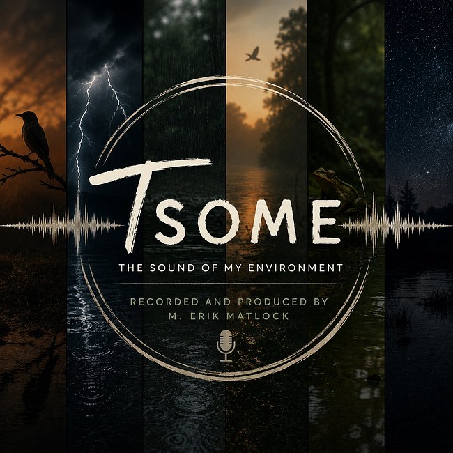 Ambient Recordings