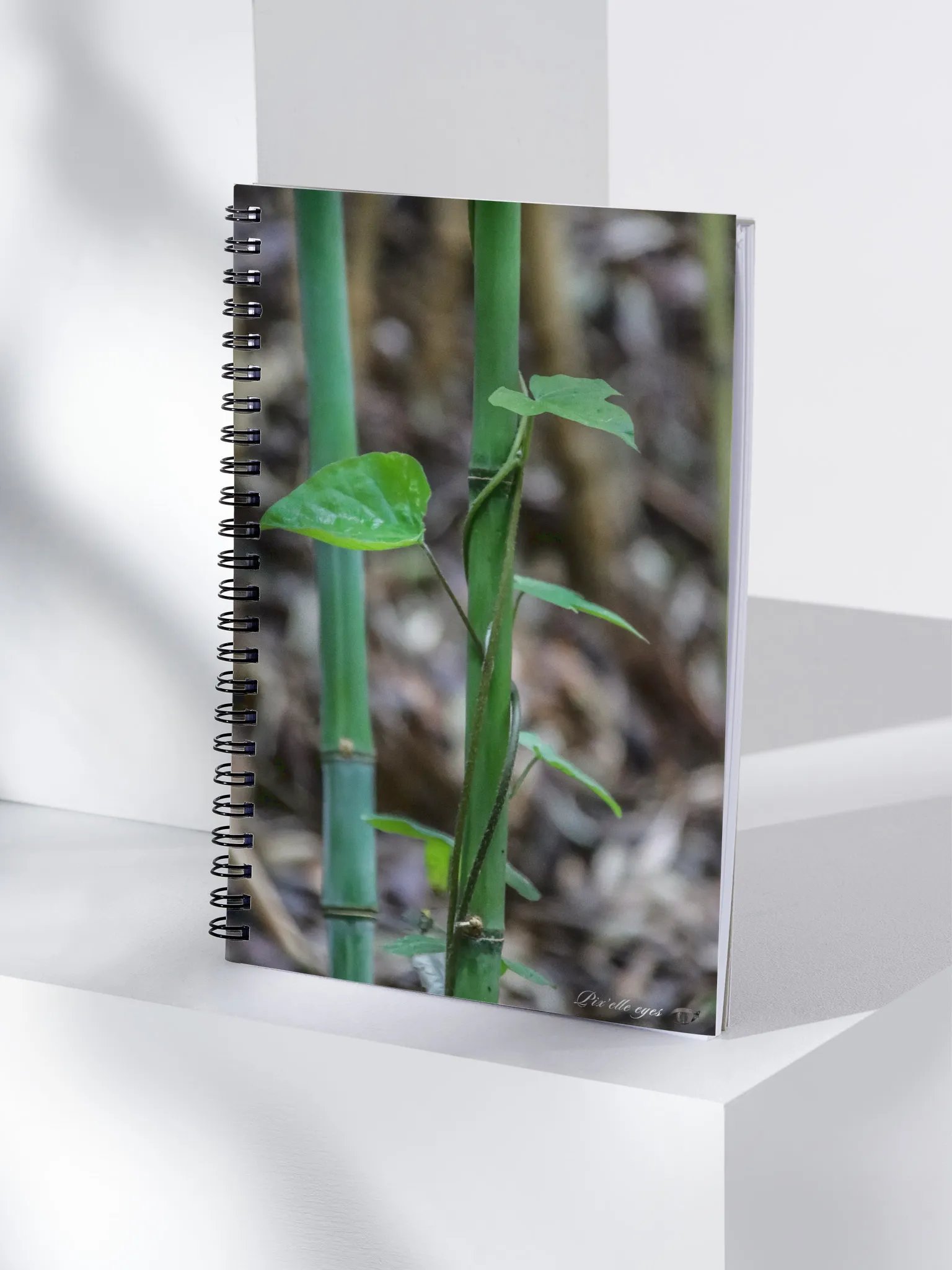 📘 Notebook Collection PURE – Jardin du Rayol – Liane et bambou product image (4)