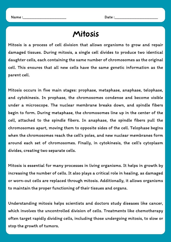 Mitosis Reading Comprehension Passage & Questions product image (1)