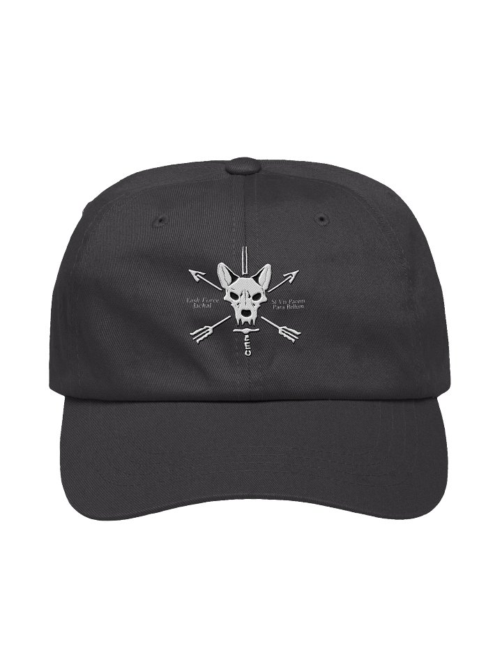Classic Dad Hat product image (1)