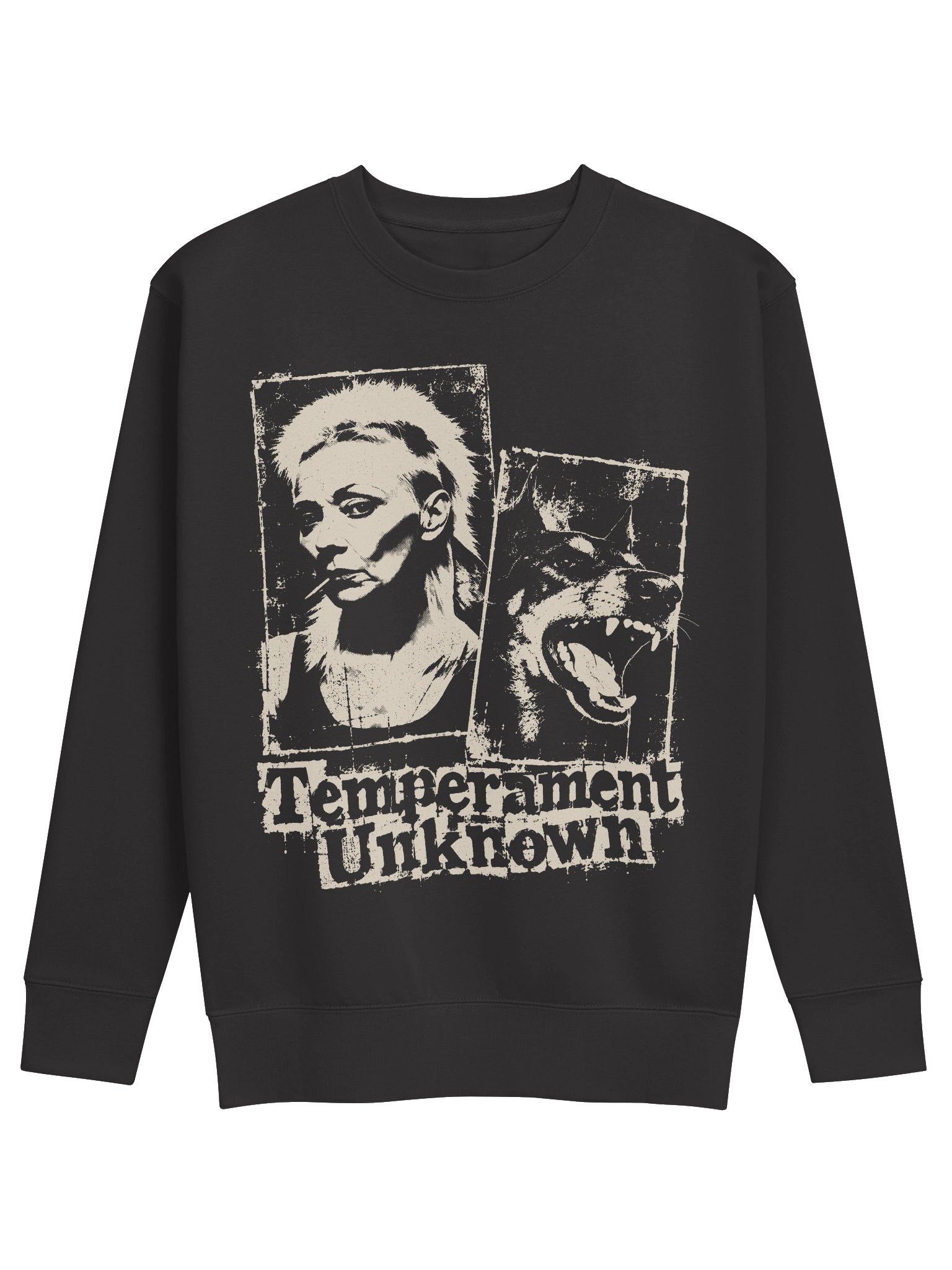 Temperament Unknown Premium Sweatshirt product image (1)