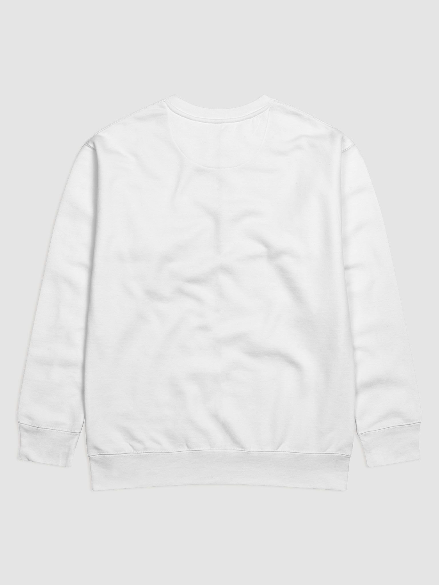LET THE TRUTH BE TOLD SWEAT TOP product image (4)