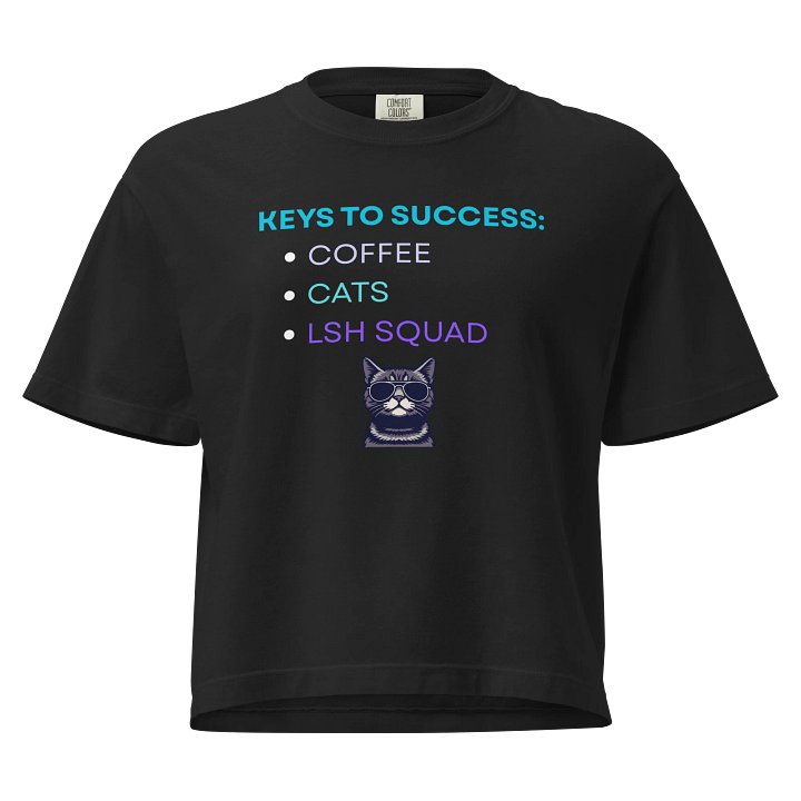 LSH Keys To Success Boxy Tee (Cat) product image (1)