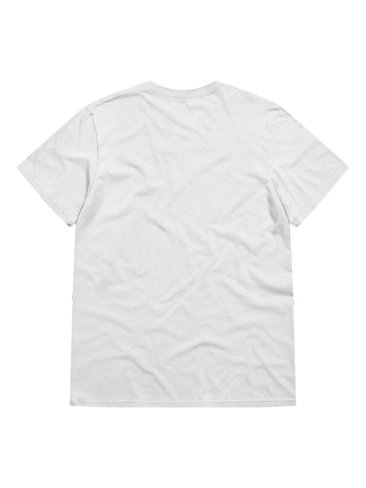 Gildan Lightweight Fashion Short Sleeve T-Shirt - Let's Walk 1 product image (26)