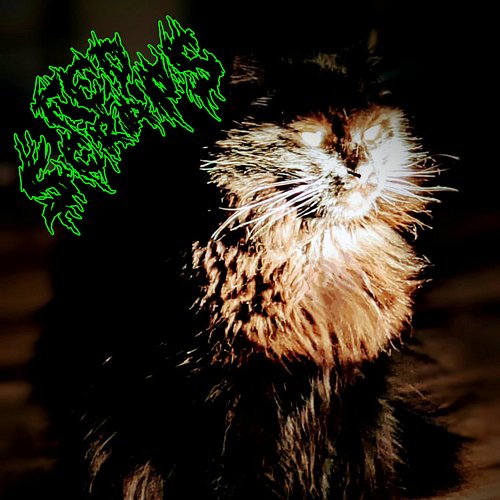More #metal than his daddy 

#hemlock #fedscraps #cat