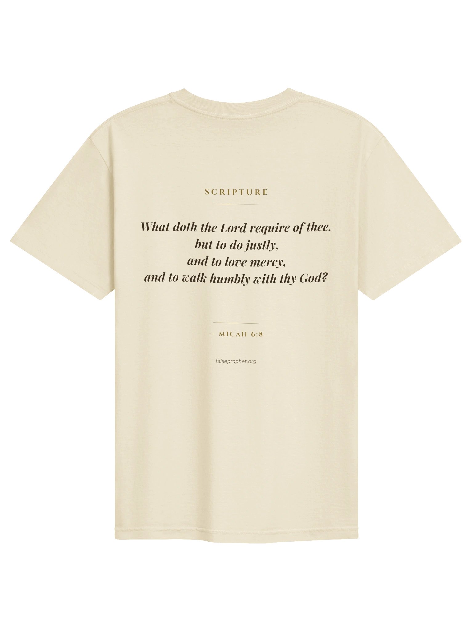 Micah 6:8/Walk Humbly T-Shirt (White) product image (1)