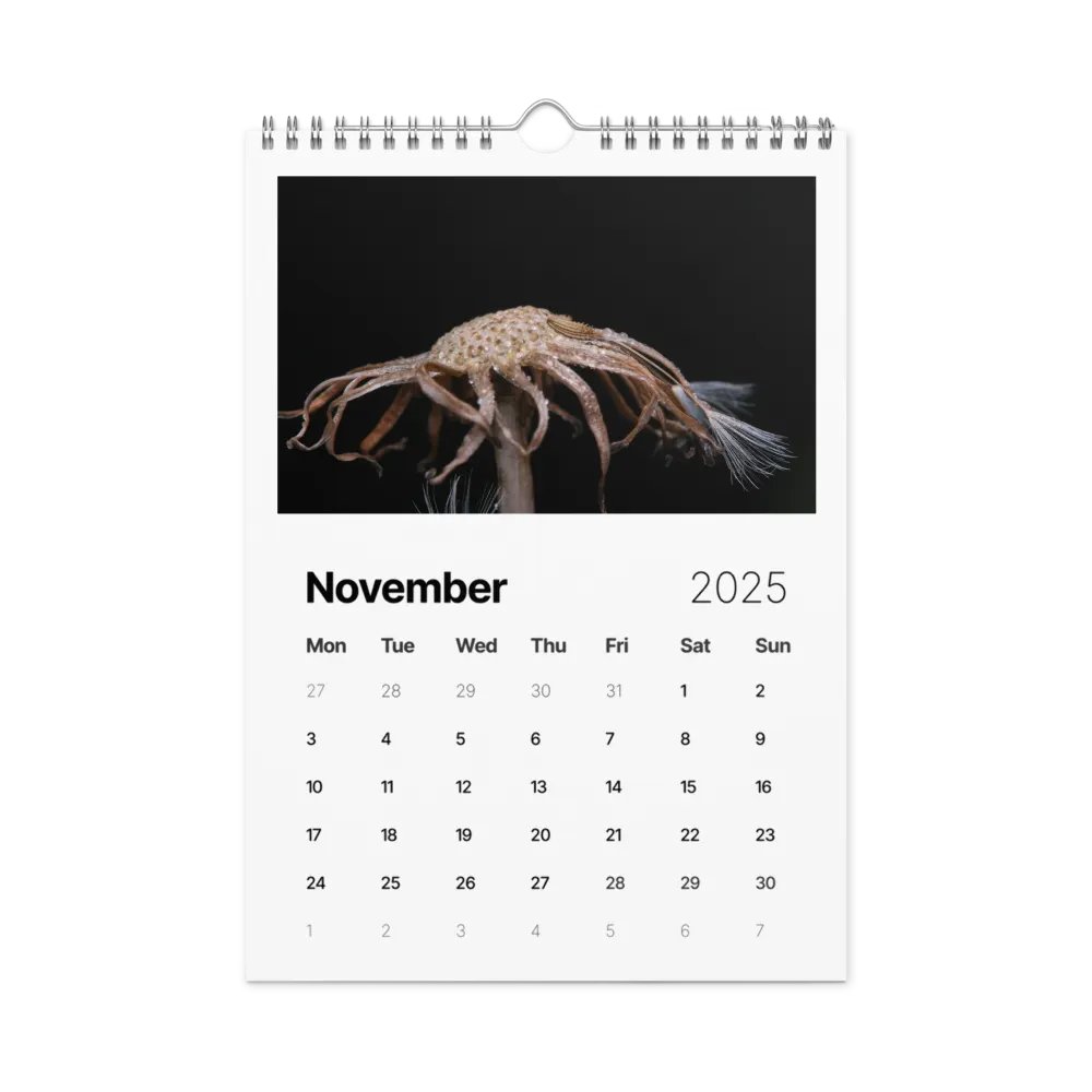 Ephemeral Dandelions 2025 Wall Calendar product image (12)
