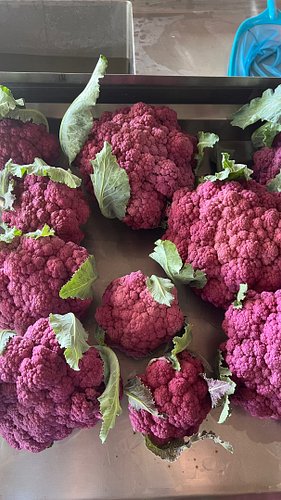 Thanks to our longtime supporter, Eric, for sharing his thoughts on the cauliflower. Get yours today! Farm shop is open now.