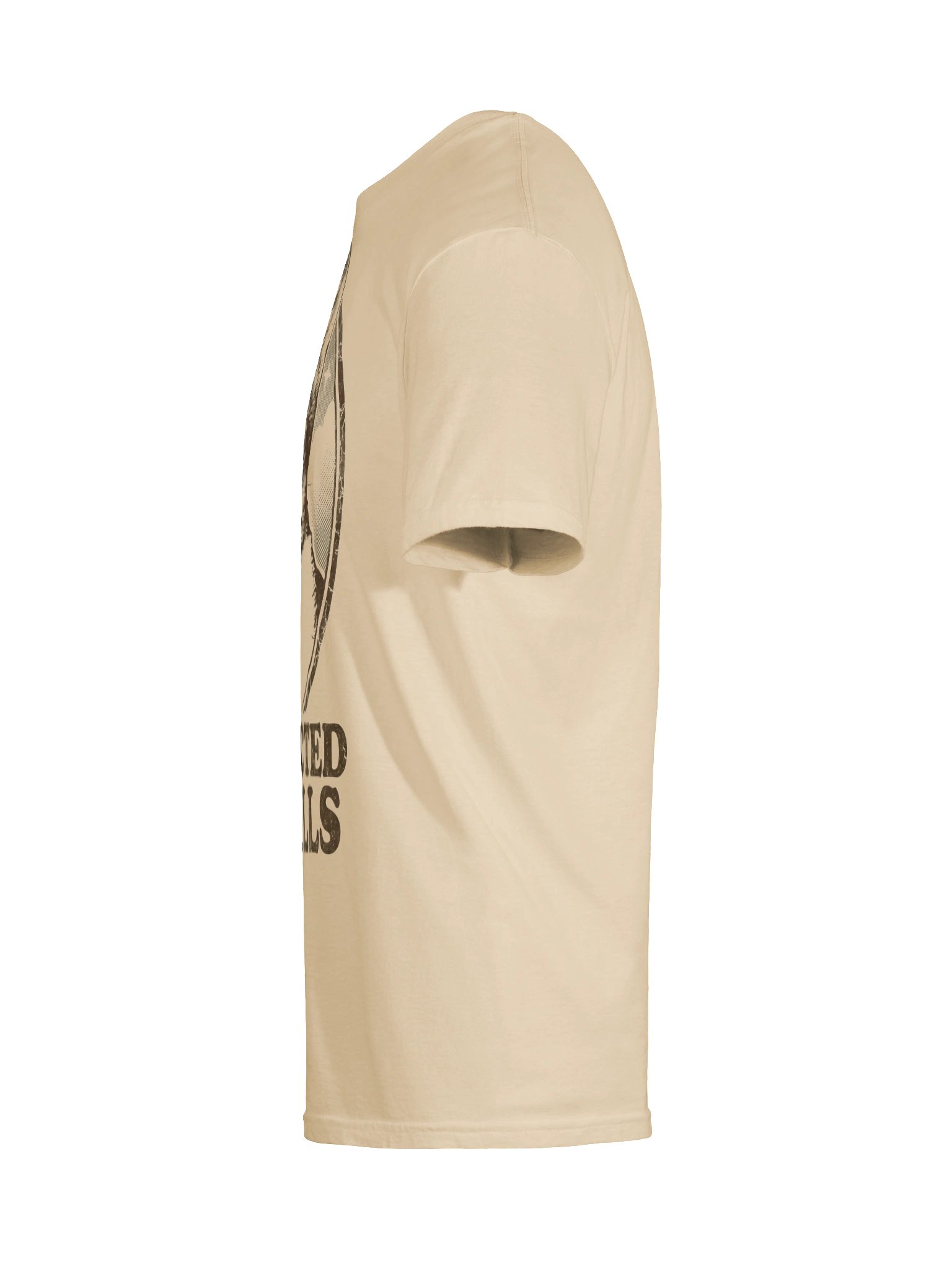 Vet Bills Cat T-Shirt product image (43)